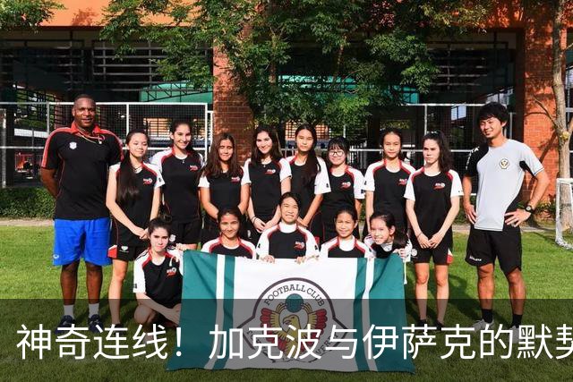 神奇连线！加克波与伊萨克的默契配合助利物浦启航